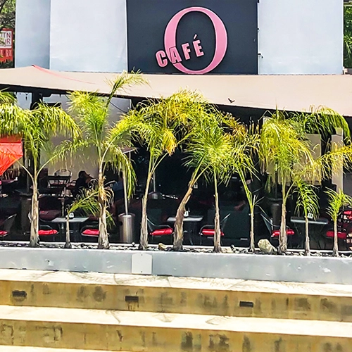 Cafe O Hookah Lounge